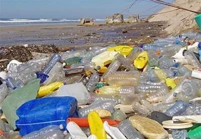 随身英语:Plastic problem 塑料带来的问题